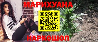твердый Бийск