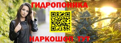прущие крисы Беслан