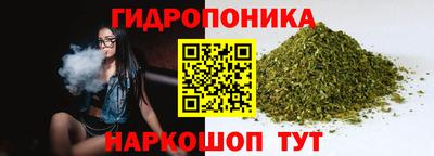 прущие крисы Беслан