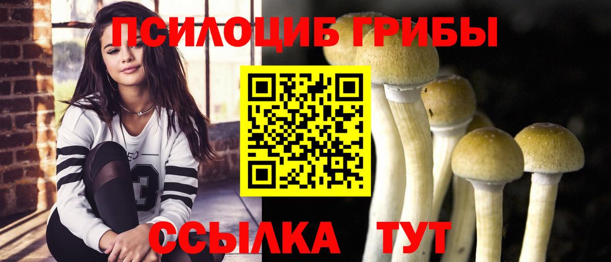 Галлюциногенные грибы GOLDEN TEACHER  Галлюциногенные грибы Psilocybine cubensis  где найти   Вход с VPN  Владивосток 